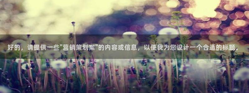 必赢最新