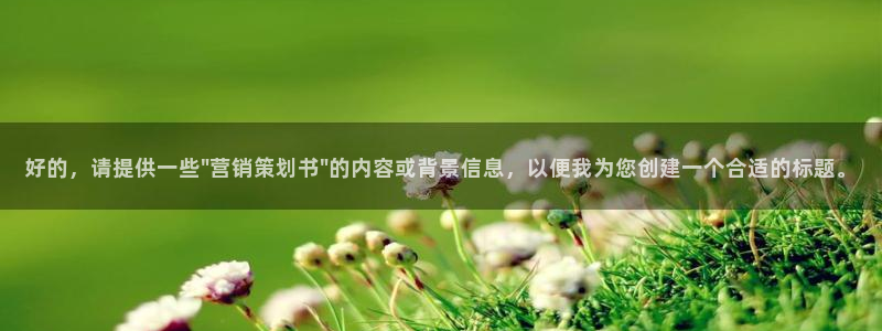 必赢客安卓版