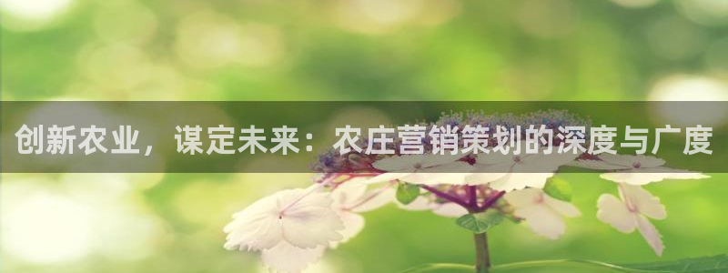 必赢亚赢网站官网下载手机版安装