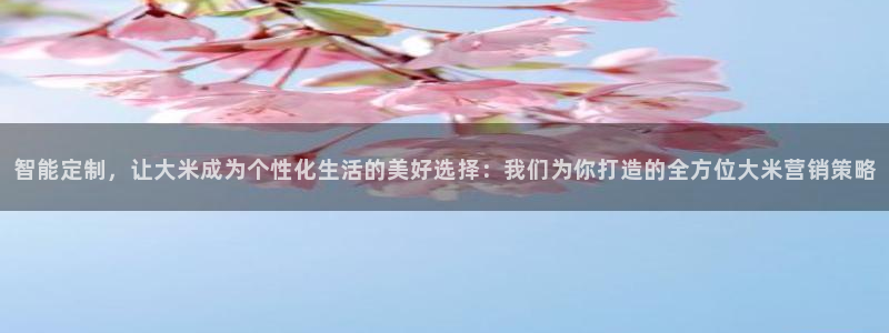 必赢网址手机主页打不开：智能定