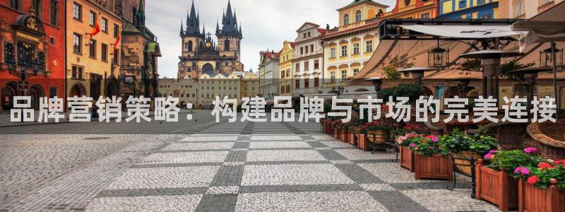 必赢516net怎么进