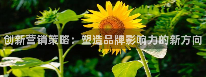 必赢网站有哪些：创新营销策略：