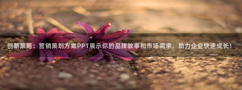 必赢平台网：创新策略：营销策划