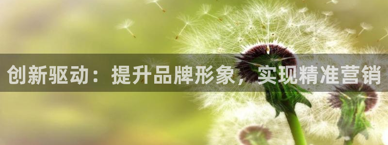 必赢国际的网站多少：创新驱动：
