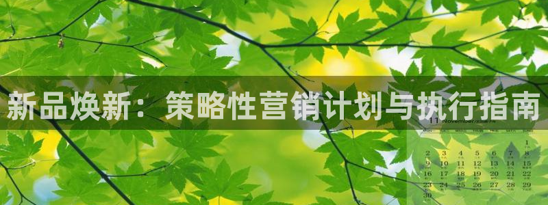 必赢3003必赢贵族宾会：新品