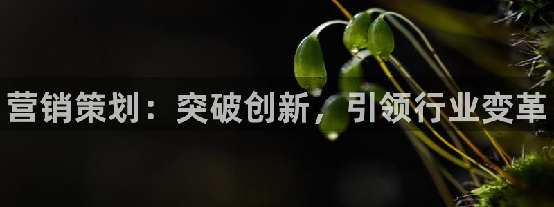 必赢这个软件怎么样可靠吗