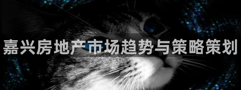 必赢科技中国有限公司