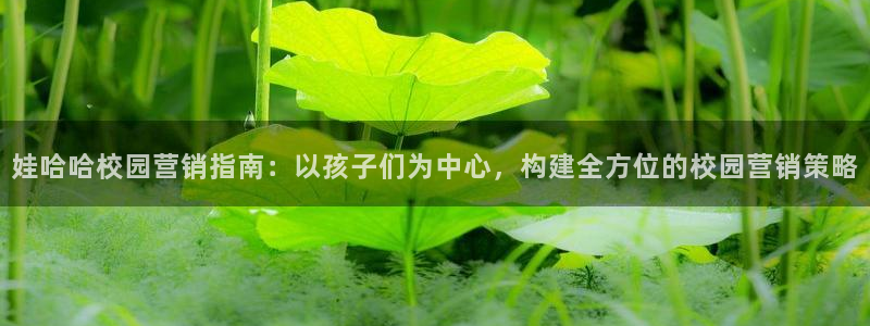 必赢集团网站官网